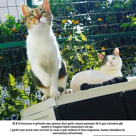 Appartamento Seafront House Pozzuoli